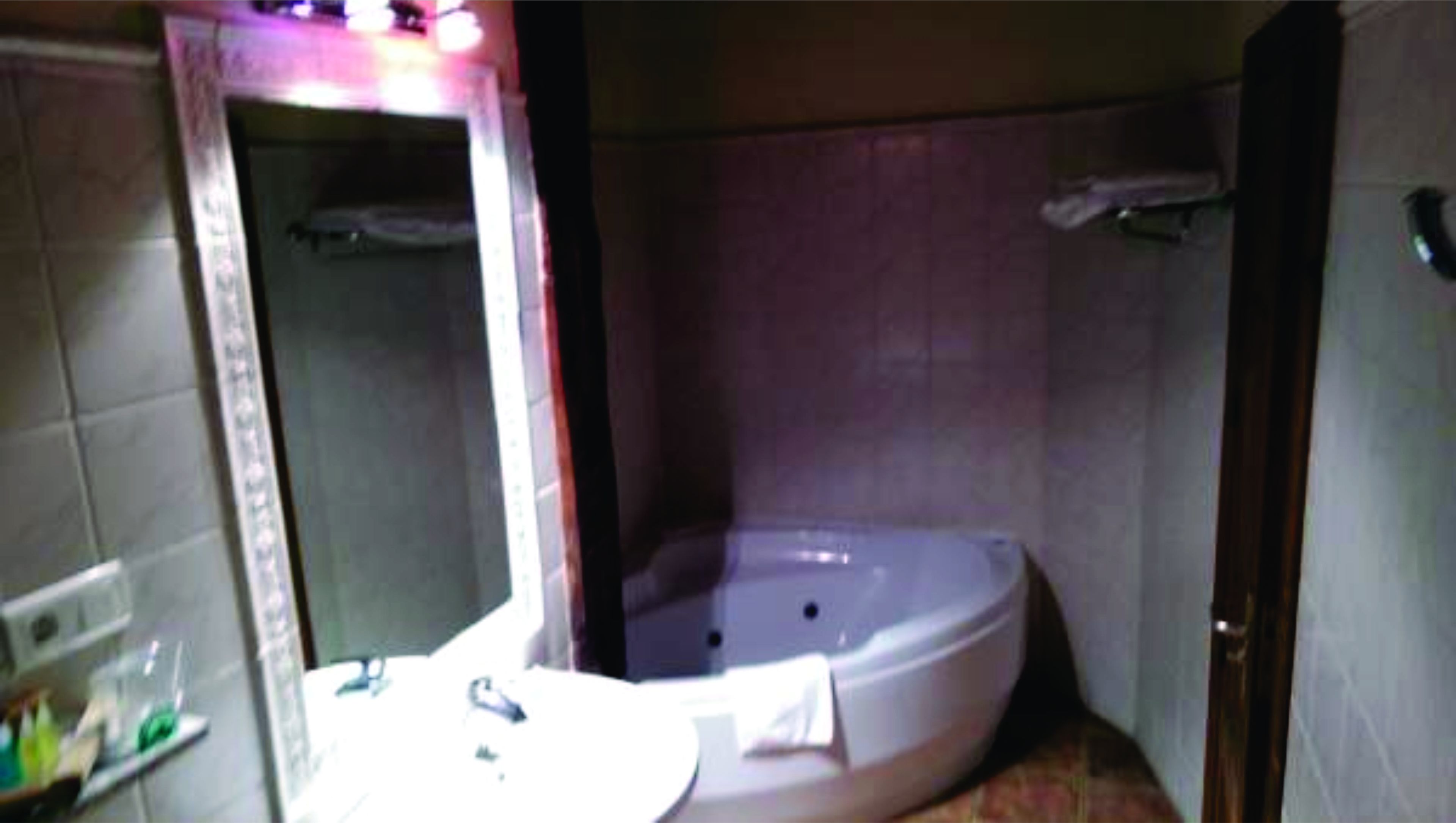 deluxe double room, 1 double bed with sofa bed | bathroom | combined shower/bathtub, free toiletries, hair dryer, bidet