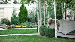 A garden with a white fence, a variety of plants, and a dog. - Dom Aktera (Odesa)