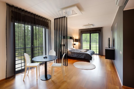 Studio Suite | View from room