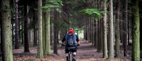 A forest path with a cyclist wearing a helmet and backpack.