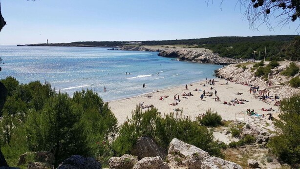 A beach with clear blue water, rocky terrain, and dense greenery. - Hôtel l'Hacienda (Chateauneuf-les-Martigues)