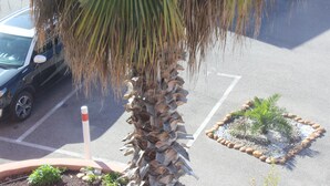 A parking lot with a palm tree, a car, and a small garden area with rocks and plants. - Hôtel l'Hacienda (Chateauneuf-les-Martigues)