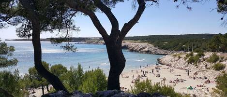 Una platja amb aigua turquesa cristal·lina, terreny rocos i arbres.