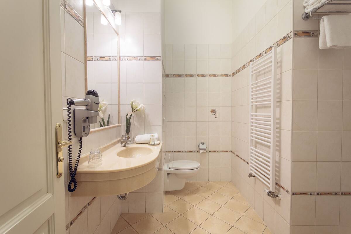 combined shower/bathtub, free toiletries, hair dryer, towels