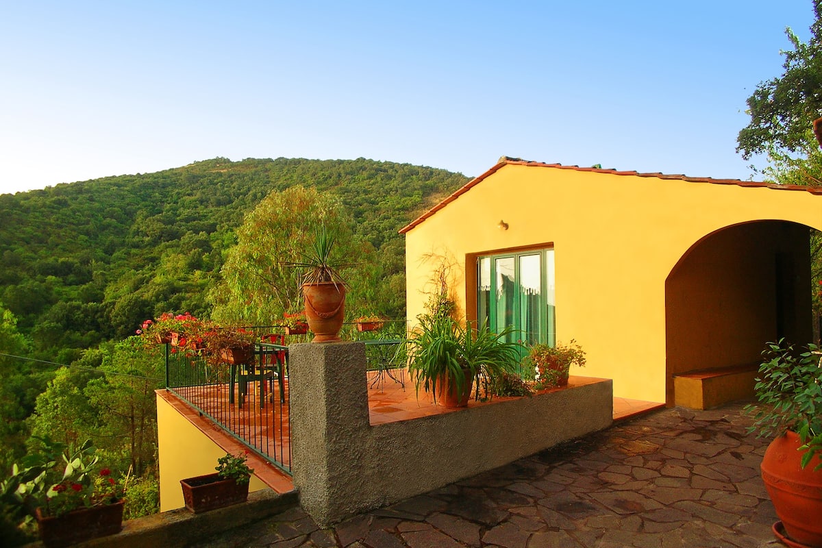 Apartment, 1 Bedroom (4 People) | Terrace/patio