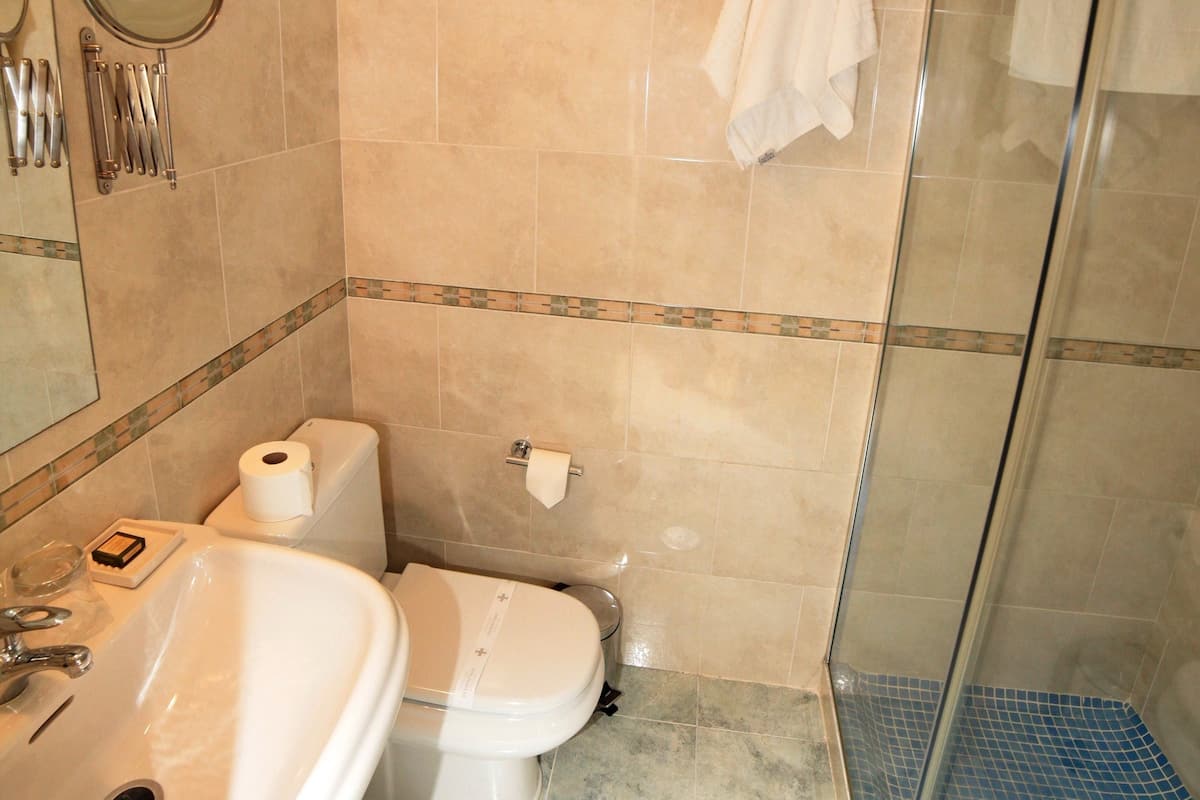 double or twin room | bathroom | shower, hair dryer, towels