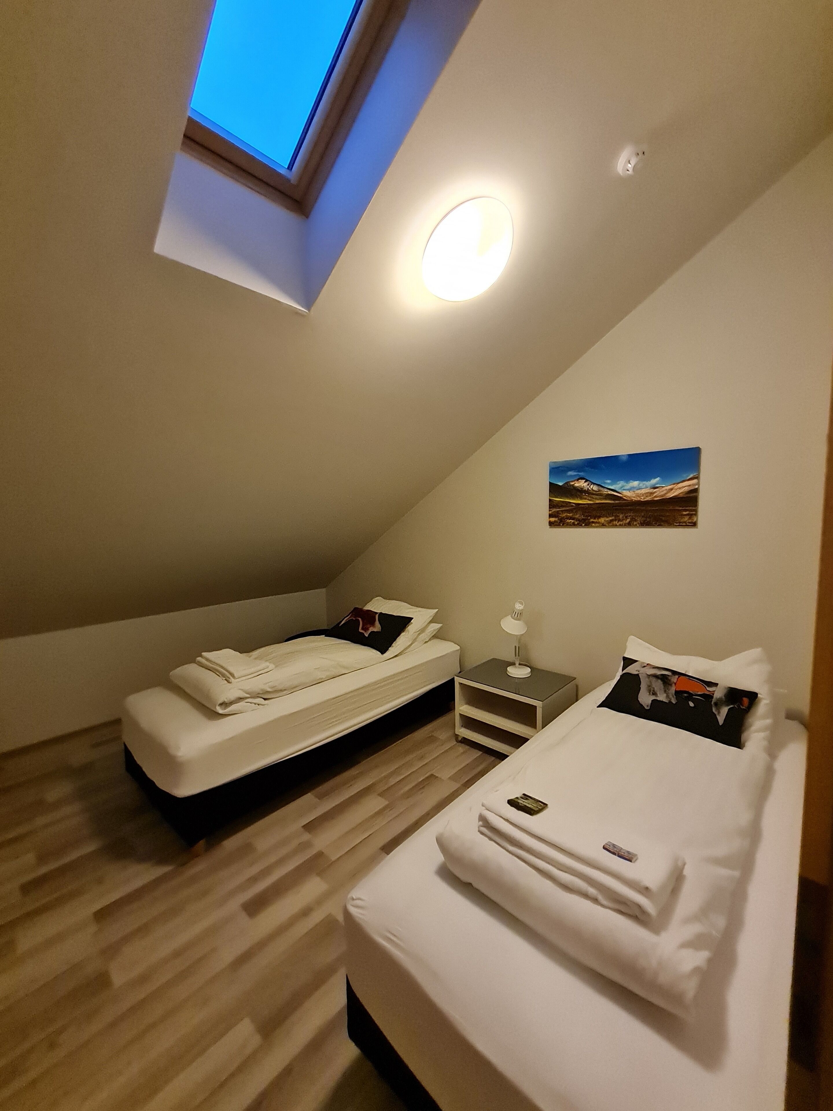 Un dormitorio pequeño y moderno con tragaluz, dos camas, una mesita de noche con lámpara y un cuadro en la pared.