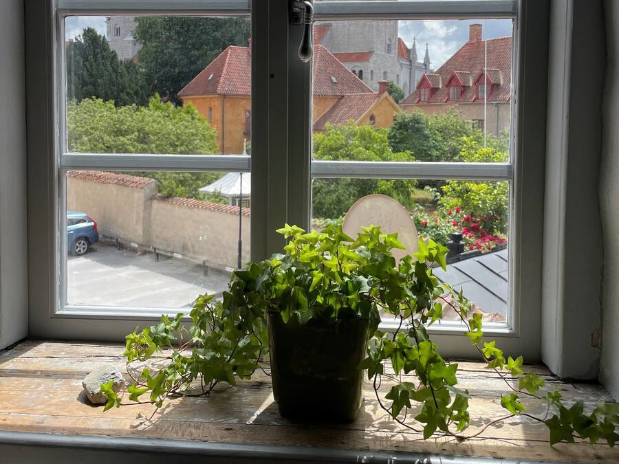 A window with a view of a building with two towers and a smaller tower, a potted plant on the windowsill, and a clear sky.