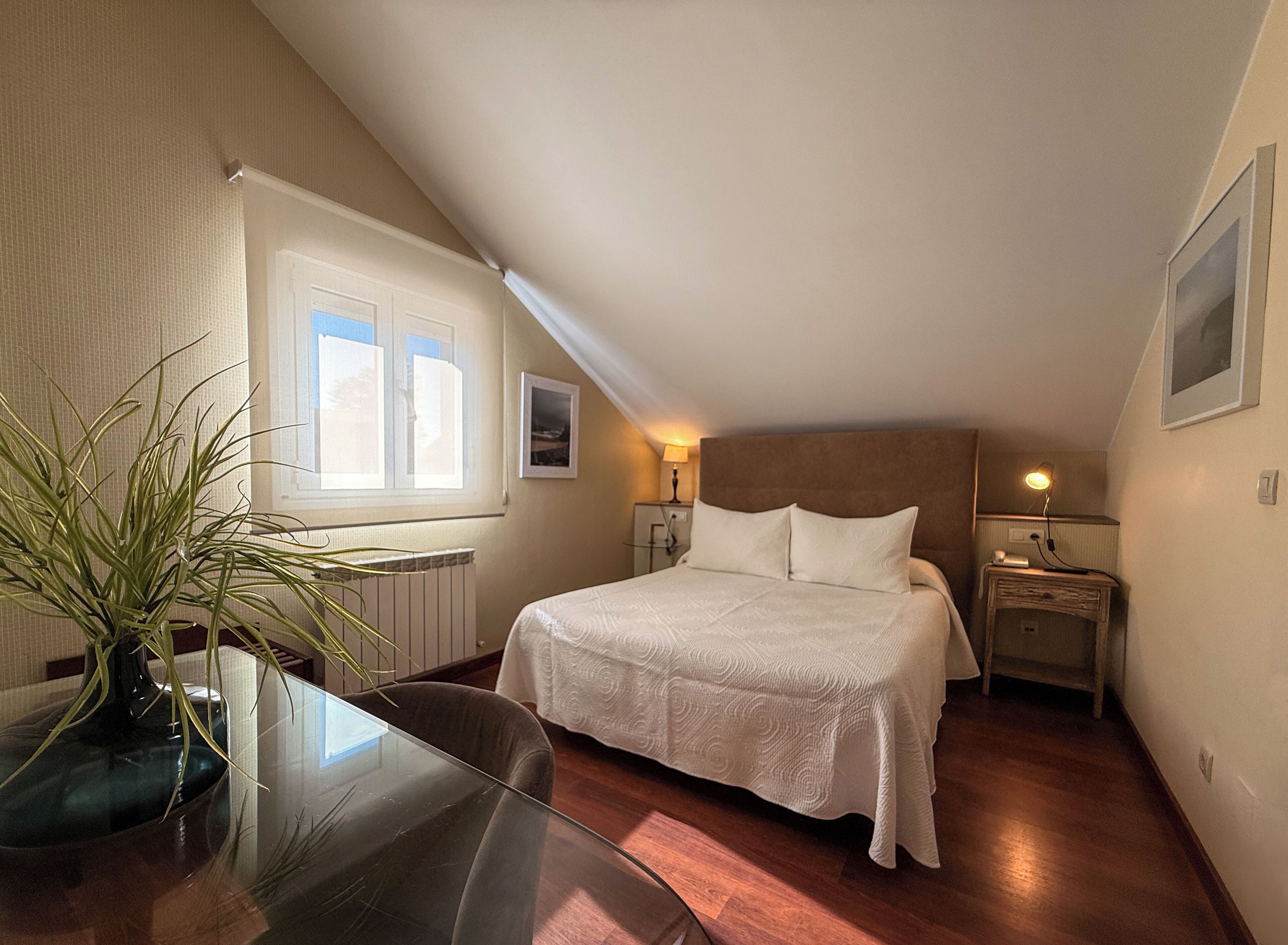 A bedroom with a bed, bedside tables, a nightstand, a window, and a potted plant.