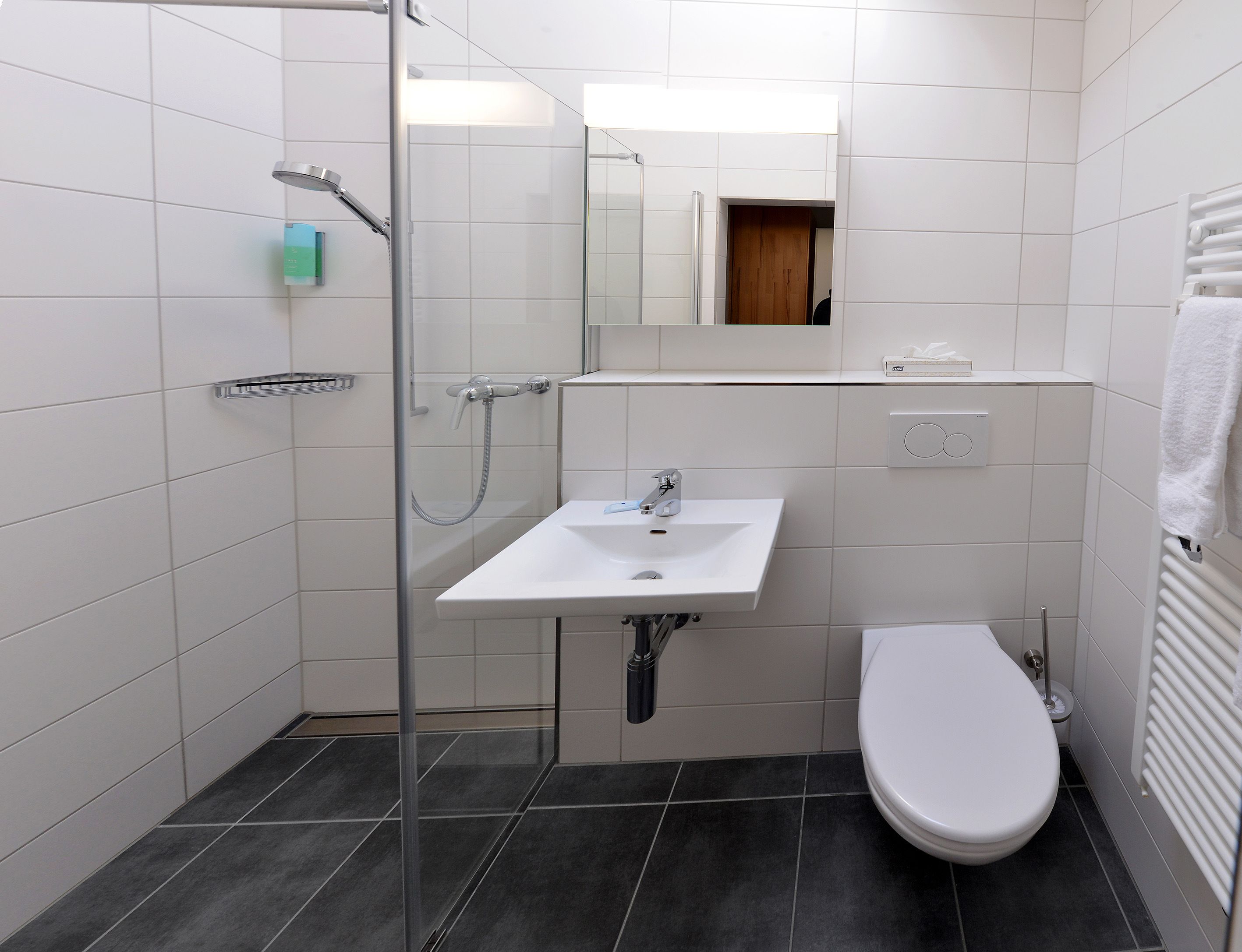 A modern bathroom with a glass shower enclosure, a white sink, and a toilet.