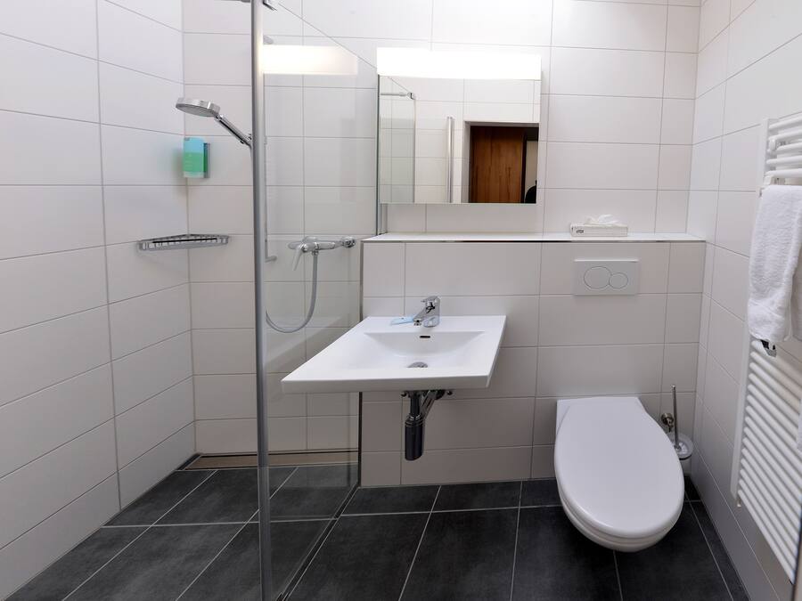 A modern bathroom with a glass shower enclosure, a white sink, and a toilet.