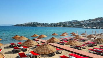 Plage, chaises longues, parasols