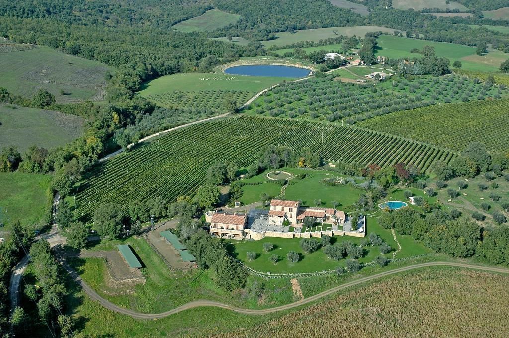 An aerial view of a vineyard with rows of grapevines, a large house with a courtyard, and a small pond.