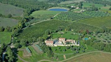 An aerial view of a vineyard with rows of grapevines, a large house with a courtyard, and a small pond.