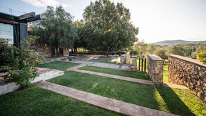 Un patio moderno al aire libre con senderos de piedra, una zona de estar y un árbol grande que proporciona sombra.