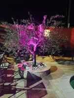 การตกแต่งภายนอก