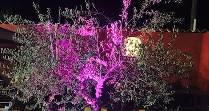 Auberge Les Galets Hotel Restaurant