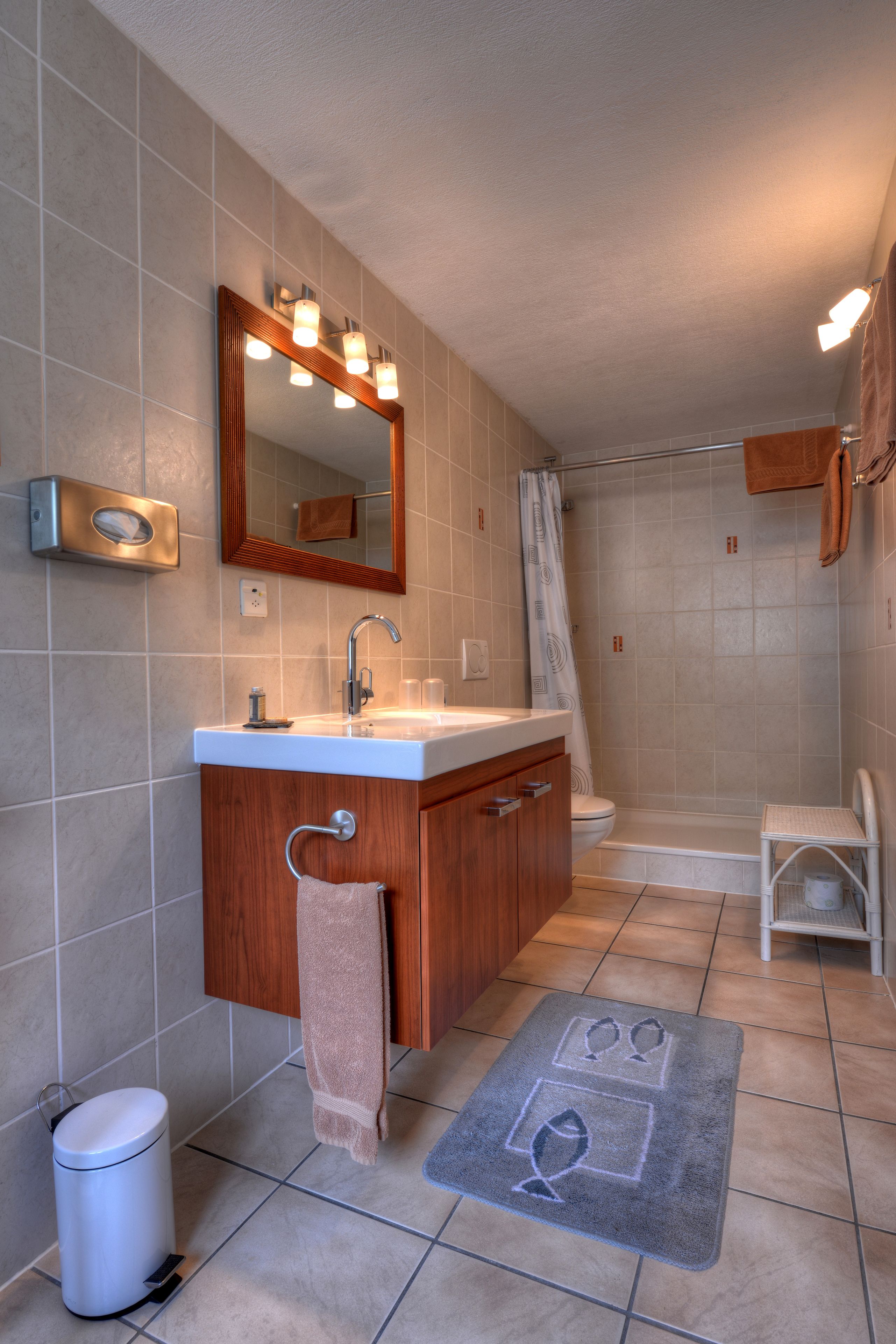 standard double or twin room, private bathroom | bathroom | shower, free toiletries, hair dryer, towels