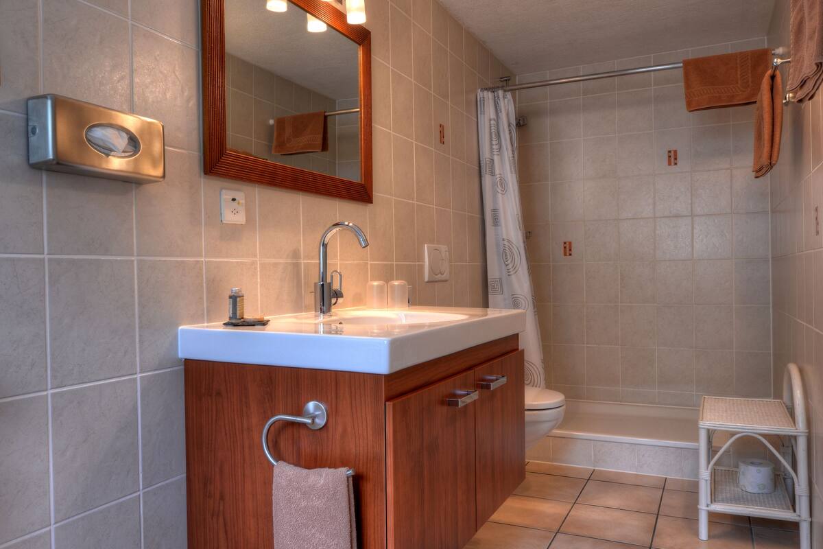 standard double or twin room, private bathroom | bathroom | shower, free toiletries, hair dryer, towels
