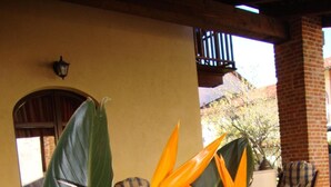A plant with large green leaves and orange flowers in an outdoor setting with a brick wall and a wooden door in the background. - Al Calar della Sera (Sommariva del Bosco)