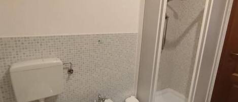 A bathroom with a toilet, bidet, and shower enclosure.