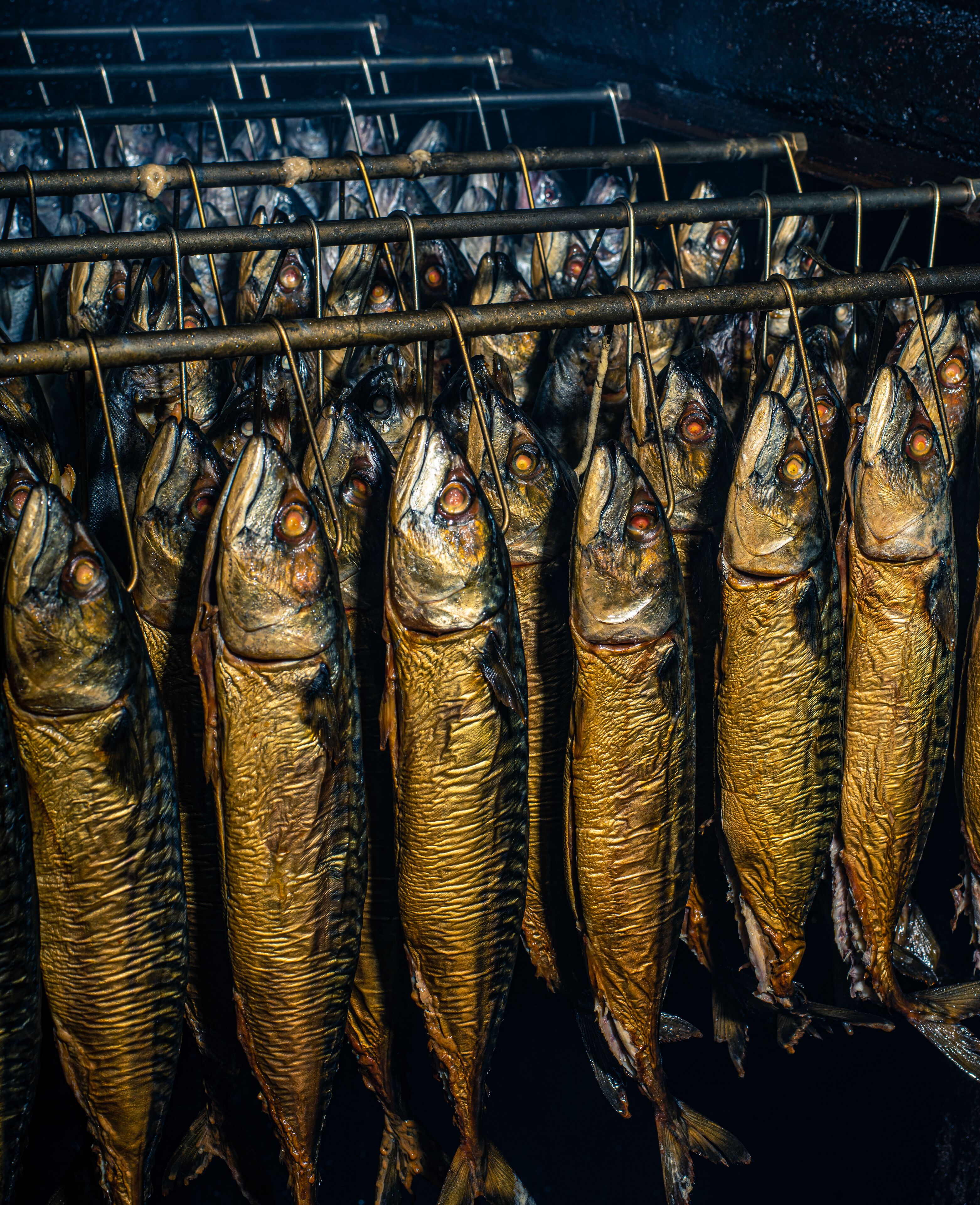 A rack of dried fish hanging in a dark, enclosed space.