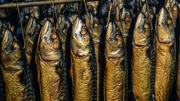 A rack of dried fish hanging in a dark, enclosed space.