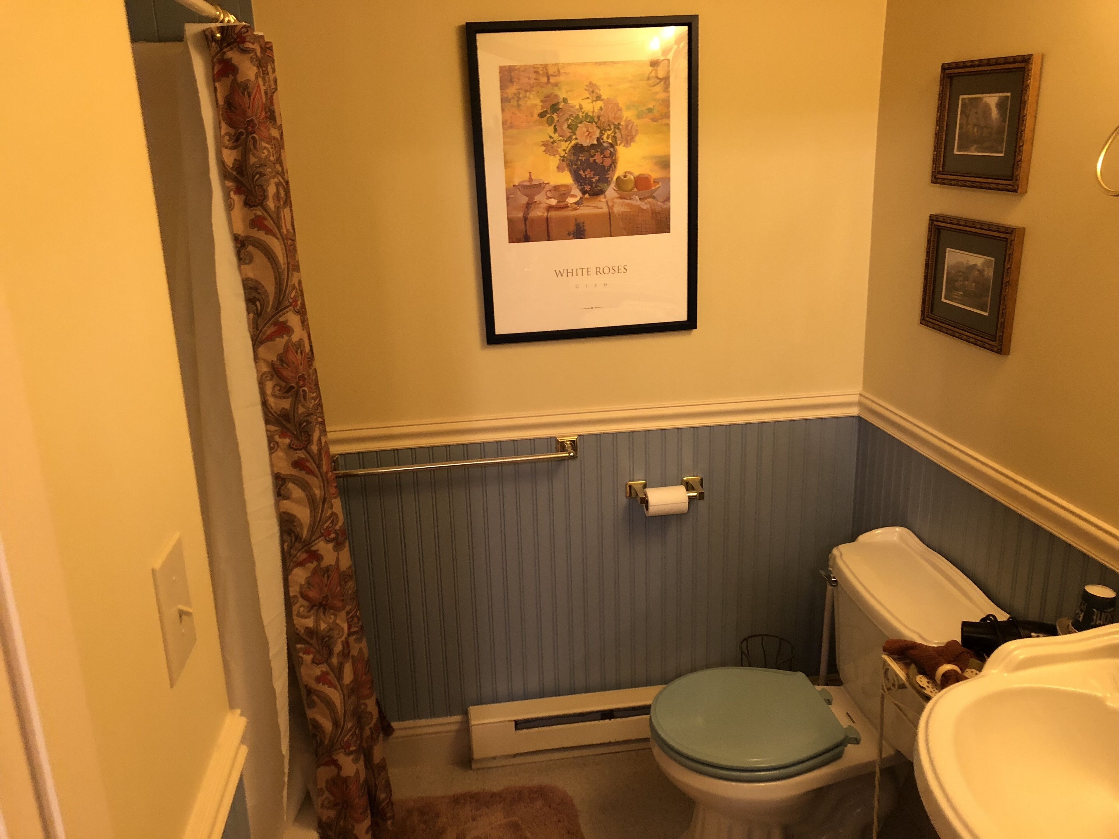 A bathroom with a toilet, a shower curtain, a radiator, and a framed picture on the wall.