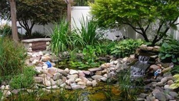 A garden with a pond, rocks, and various plants. - Keller House (Centre Hall)