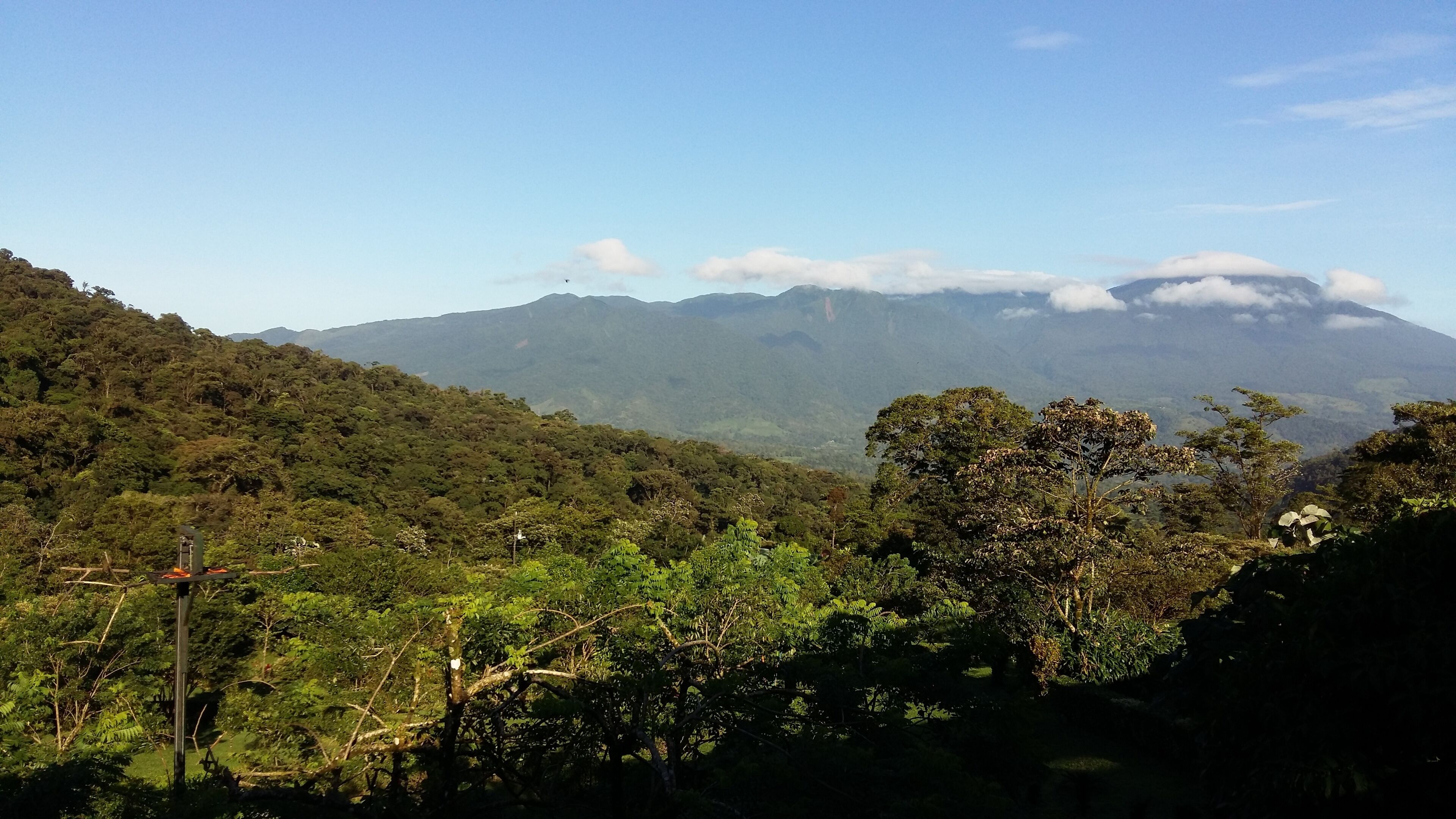 A lush green landscape with a mountain range in the background.