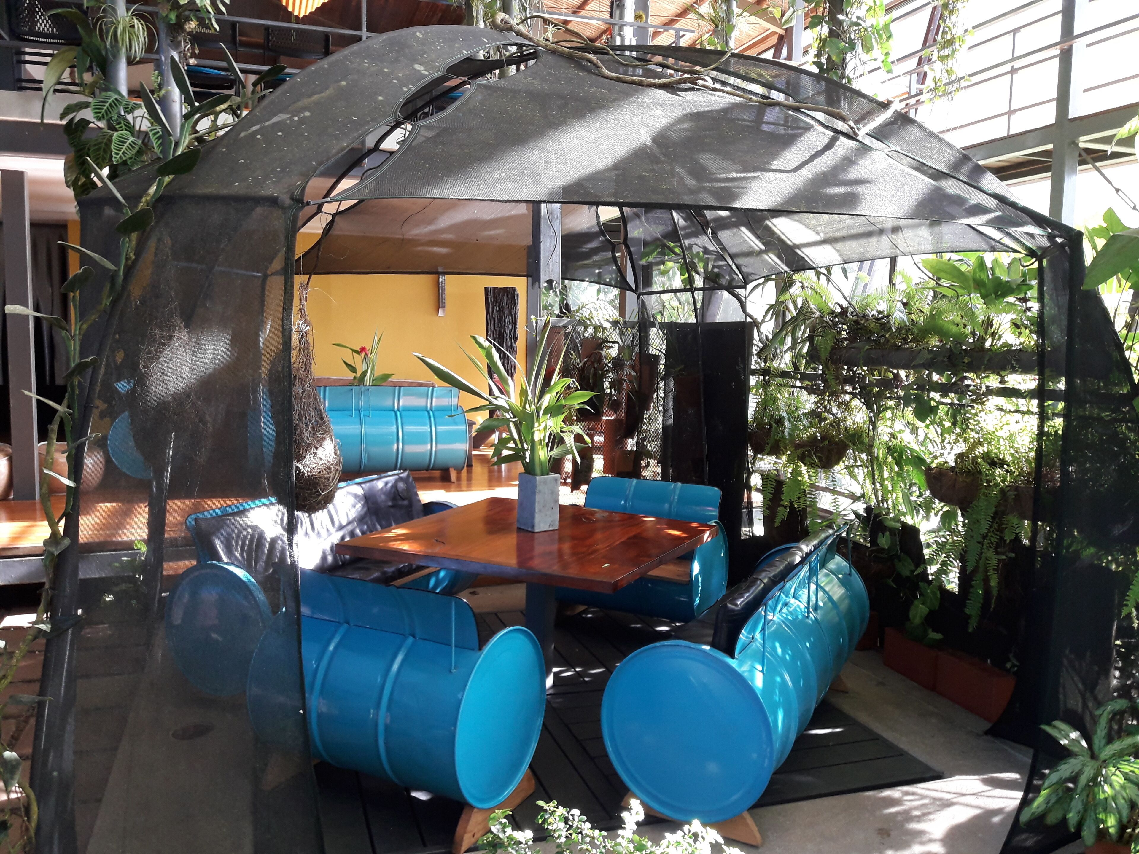 Un espace extérieur aménagé avec une table en bois et des chaises bleues en forme de tonneau, entouré de plantes en pot et d’un grand parasol.