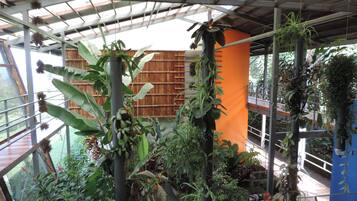 A greenhouse with various plants, a wooden fence, and a metal structure.