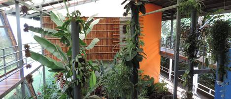 Un invernadero con diversas plantas, una valla de madera y una estructura metálica.