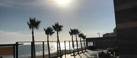 Eine Uferpromenade mit Palmen und Blick auf den Ozean.
