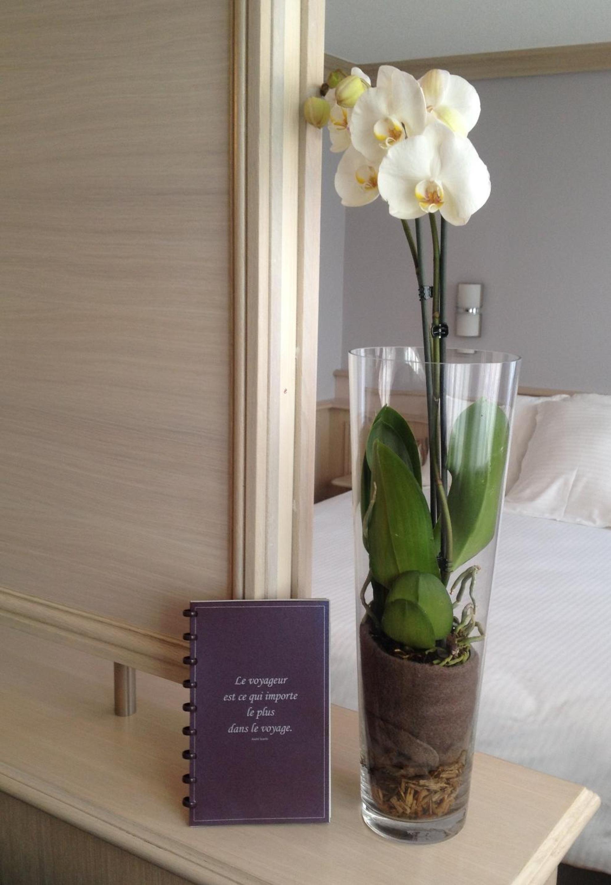 Foto - Cottage Logis Hôtel - Restaurant