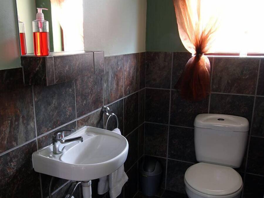 A bathroom with a white sink, a toilet, and a window with curtains.
