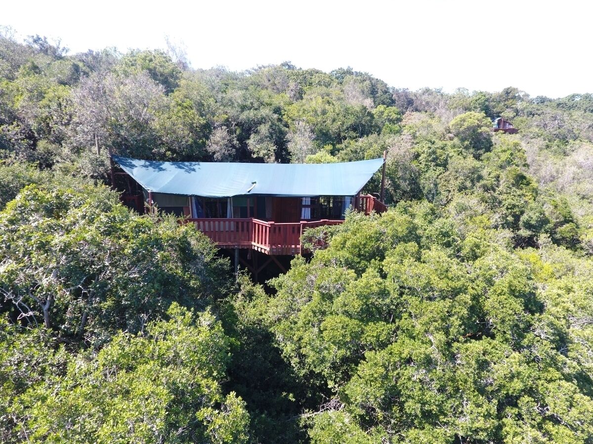 Una cabaña de paredes rojas y techo azul, rodeada de abundante follaje verde.