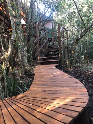 Tienda de campaña familiar | Ropa de cama de alta calidad y caja de seguridad en la habitación