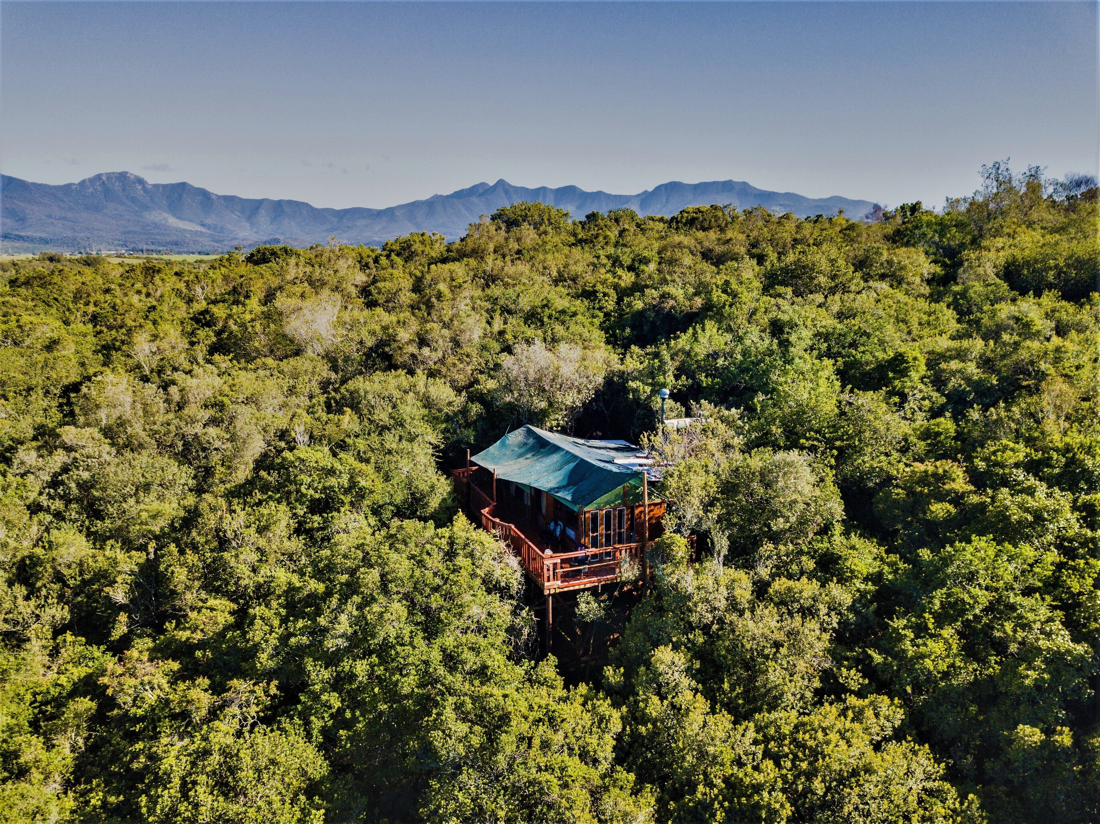 A treehouse with a green roof, surrounded by dense forest and mountains in the background.