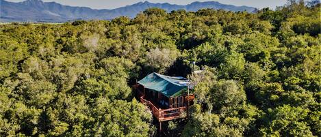 A treehouse with a green roof, surrounded by dense forest and mountains in the background.