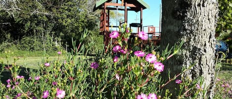 Jardin