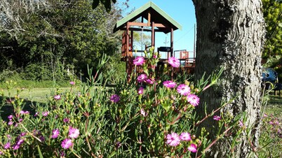 Teniqua Treetops