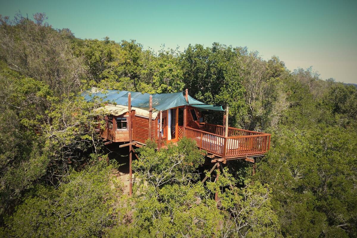 A wooden cabin with a balcony, surrounded by dense forest.