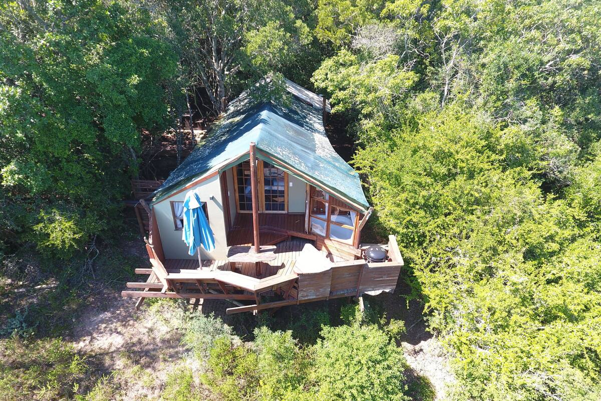 A wooden cabin with a green roof, surrounded by dense forest.