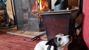 Un perro descansando sobre una alfombra roja frente a una chimenea con fuego encendido.
