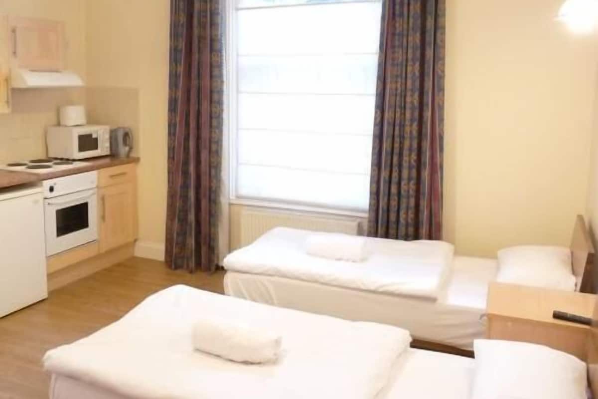 Kamer, 1 twee- of 2 eenpersoonsbedden, en-suite badkamer | Een strijkplank/strijkijzer