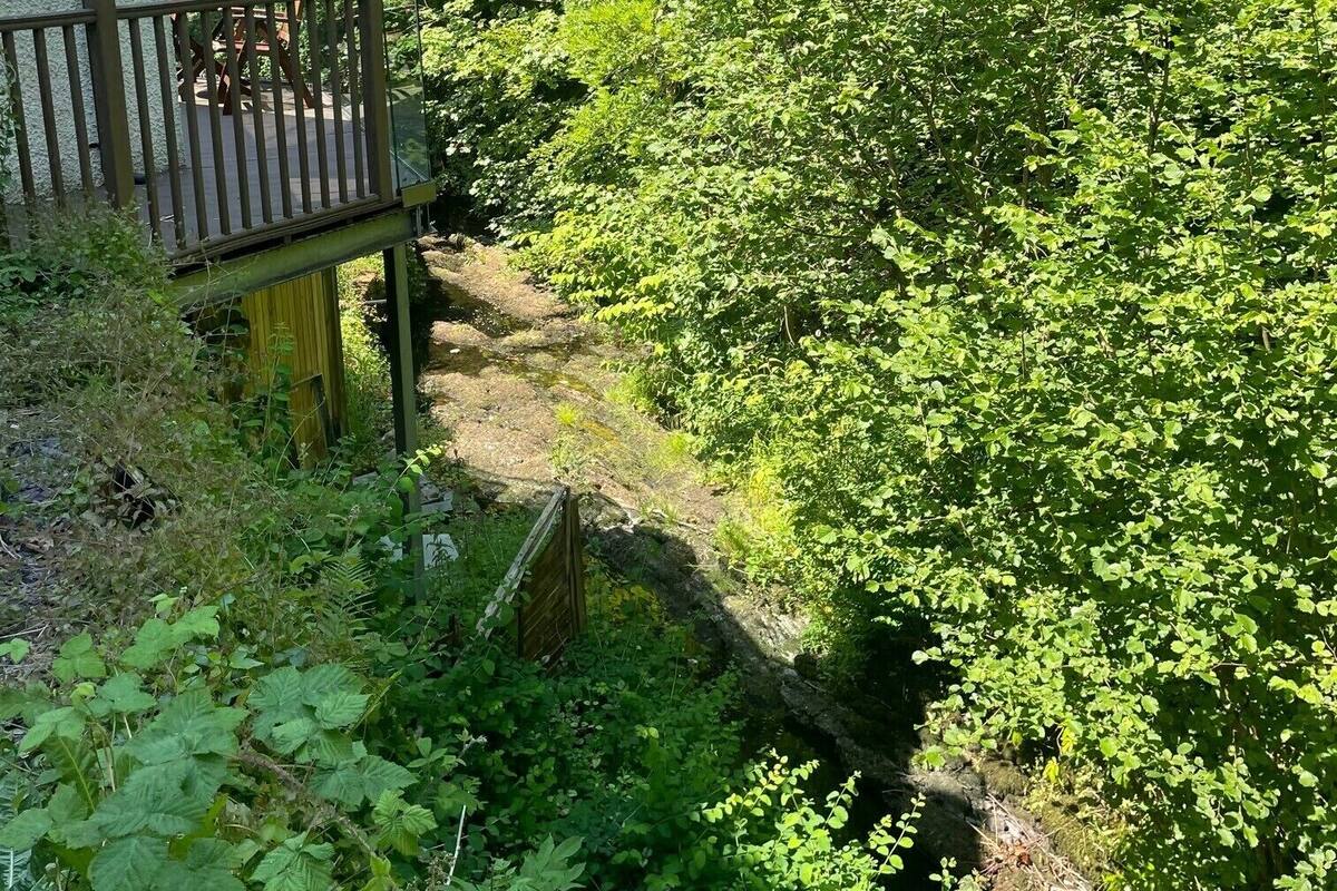 A wooden deck with a railing overlooking a lush green area with dense foliage.