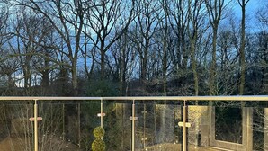 A modern glass balustrade with a wooden deck and a potted plant. - Glencree (Windermere)