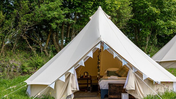 A tent with a bed and a table inside, surrounded by greenery. - Three Tuns (Helston)