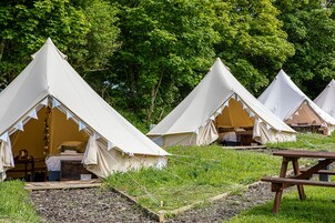 Una hilera de carpas blancas con interiores abiertos, una mesa de picnic y una zona verde con árboles al fondo.